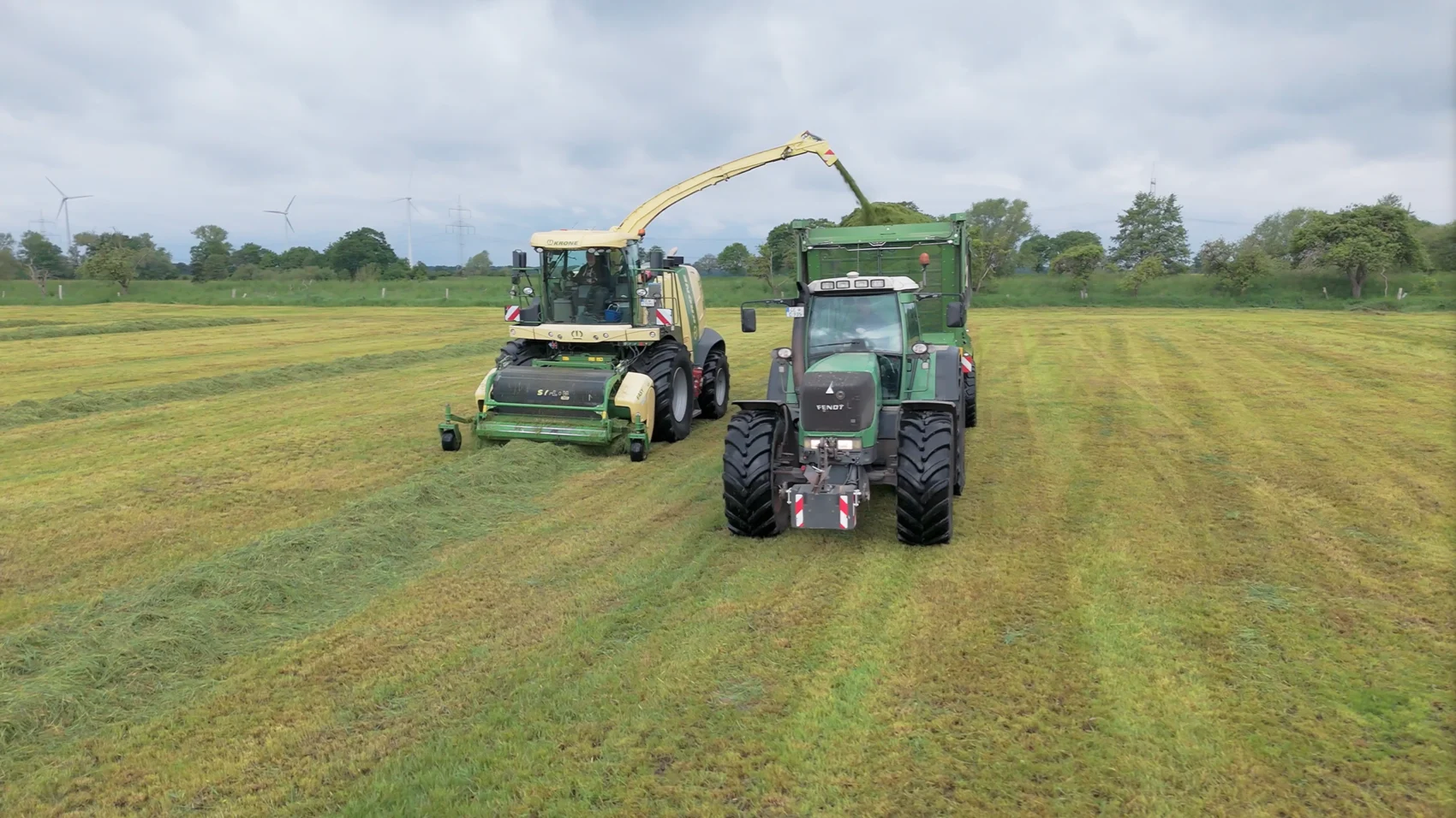 Feldhäcksler und Traktor bei der gemeinsamen Ernte auf einer Wiese